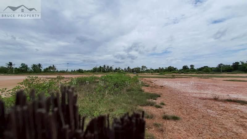 10-Rai Land for Sale in Lam Kho Hong Subdistrict, Non Sung District, Nakhon Ratchasima, Nakhon Ratchasima, Lam Kho Hong, Non Sung, Nakhon Ratchasima, , 16,000 sqm, Land For Sale, by ศุภพิชญ์ บุรานนท์, 500384870 - DDproperty.com