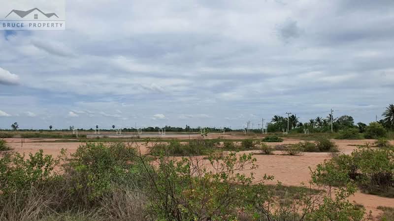 10-Rai Land for Sale in Lam Kho Hong Subdistrict, Non Sung District, Nakhon Ratchasima, Nakhon Ratchasima, Lam Kho Hong, Non Sung, Nakhon Ratchasima, , 16,000 sqm, Land For Sale, by ศุภพิชญ์ บุรานนท์, 500384870 - DDproperty.com