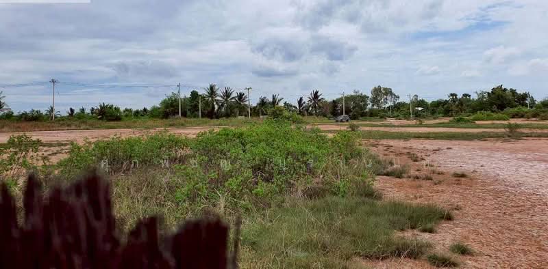 10-Rai Land for Sale in Lam Kho Hong Subdistrict, Non Sung District, Nakhon Ratchasima, Lam Kho Hong, Non Sung, Nakhon Ratchasima, , 16,000 sqm, Land For Sale, by ศุภพิชญ์ บุรานนท์, 500384870 - DDproperty.com