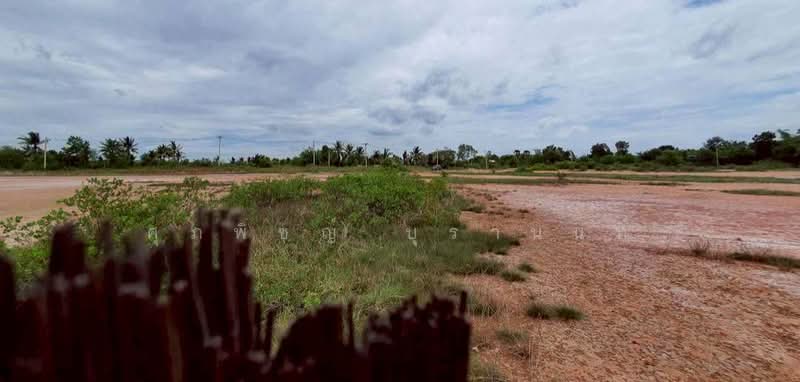 10-Rai Land for Sale in Lam Kho Hong Subdistrict, Non Sung District, Nakhon Ratchasima, Lam Kho Hong, Non Sung, Nakhon Ratchasima, , 16,000 sqm, Land For Sale, by ศุภพิชญ์ บุรานนท์, 500384870 - DDproperty.com