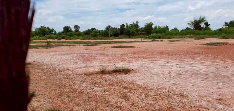 10-Rai Land for Sale in Lam Kho Hong Subdistrict, Non Sung District, Nakhon Ratchasima, Lam Kho Hong, Non Sung, Nakhon Ratchasima, , 16,000 sqm, Land For Sale, by ศุภพิชญ์ บุรานนท์, 500384870 - DDproperty.com