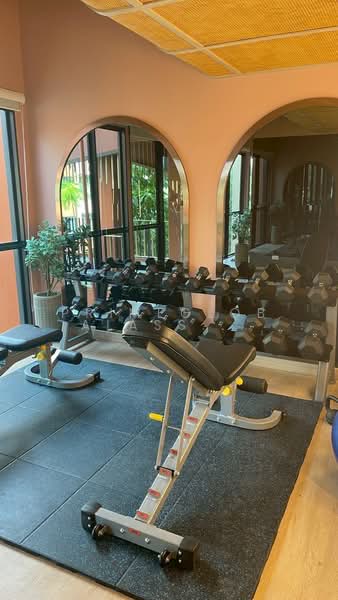 The Cube Amaze Srisoonthon, Phuket, 46/21 Srisoonthorn Rd, Sri Sunthon, Thalang, Phuket, 1 Bedroom, 33 sqm, Condo For Rent, by primeglobalasset Ao, 500384894 - DDproperty.com