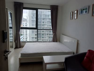 For Rent - IDEO MOBI Sukhumvit 81, Bangkok
