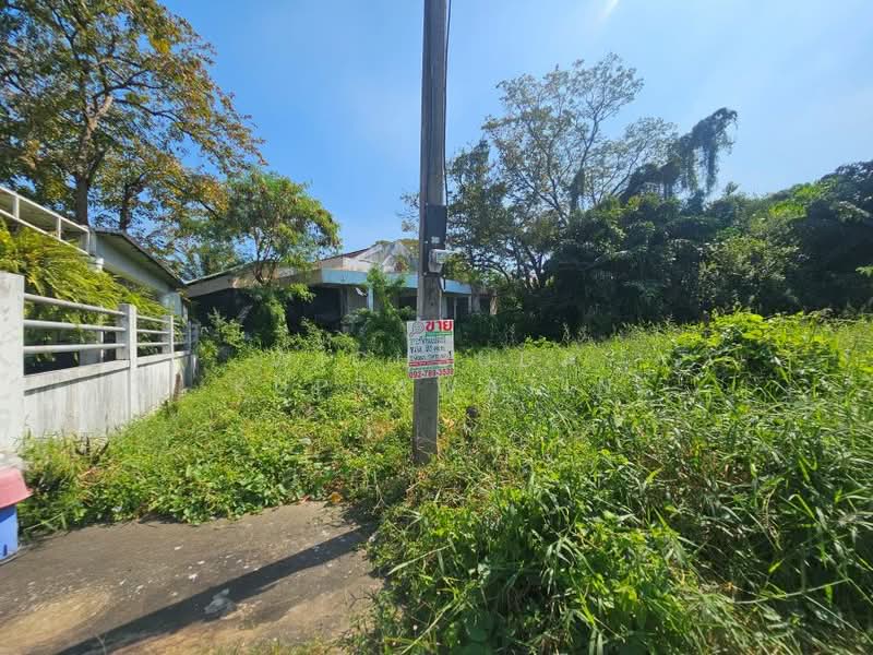 บางระมาด, Bangkok, พุทธมณฑลสาย2 ซอย24, Bang Ra Mat, Taling Chan, Bangkok, , 356 sqm, Land For Sale, by Wichsuda Kuptawatin, 500384990 - DDproperty.com