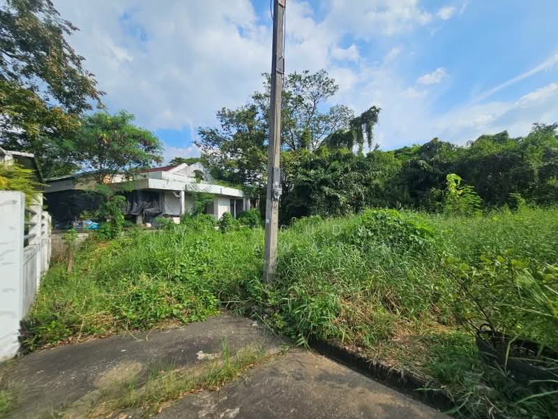 บางระมาด, Bangkok, พุทธมณฑลสาย2 ซอย24, Bang Ra Mat, Taling Chan, Bangkok, , 356 sqm, Land For Sale, by Wichsuda Kuptawatin, 500384990 - DDproperty.com