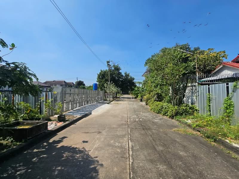 บางระมาด, Bangkok, พุทธมณฑลสาย2 ซอย24, Bang Ra Mat, Taling Chan, Bangkok, , 356 sqm, Land For Sale, by Wichsuda Kuptawatin, 500384990 - DDproperty.com