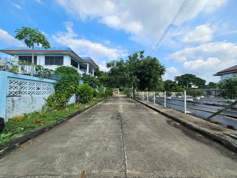 บางระมาด, Bangkok, พุทธมณฑลสาย2 ซอย24, Bang Ra Mat, Taling Chan, Bangkok, , 356 sqm, Land For Sale, by Wichsuda Kuptawatin, 500384990 - DDproperty.com