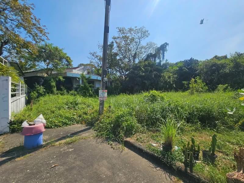 บางระมาด, กรุงเทพ, พุทธมณฑลสาย2 ซอย24, บางระมาด, ตลิ่งชัน, กรุงเทพ, 356 ตร.ม., ที่ดิน ขาย, โดย Wichsuda Kuptawatin, 500384990 - DDproperty.com