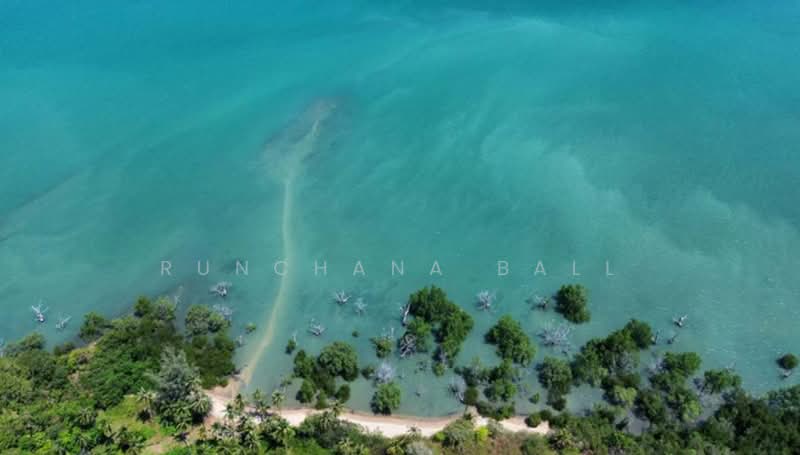 Prime Beachfront Development Land 101 Rai | Ao Por, Phuket | Panoramic Phang Nga Bay Views, Phuket, Pa Khlok, Thalang, Phuket, , 163,004 sqm, Land For Sale, by Runchana Ball, 500385001 - DDproperty.com