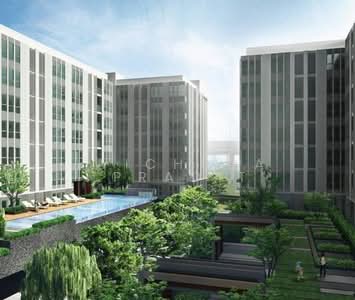 ขาย - Moniiq Sukhumvit 64 : โมนีคสุขุมวิท64, กรุงเทพ