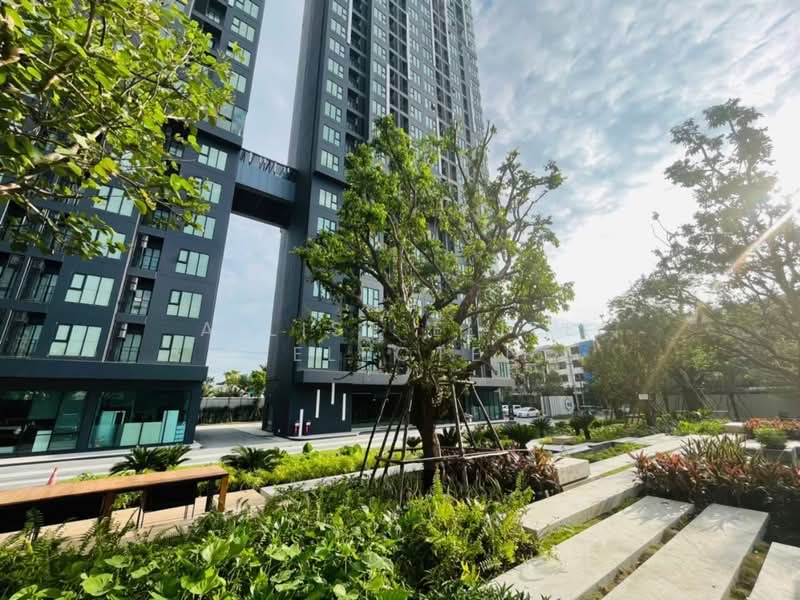 Modiz Sukhumvit 50 : โมดิซ สุขุมวิท 50, กรุงเทพ, ซอยสุขุมวิท 50, พระโขนง, คลองเตย, กรุงเทพ, 32 ตร.ม., คอนโด ขาย, โดย A LIST ELITE SELECTED, 500385097 - DDproperty.com