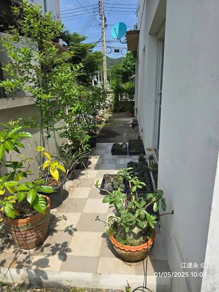 ให้เช่าบ้านแฝด ม.เมโทรปาร์ค ใกล้ ม.เกษตรฯ ศรีราชา, Chon Buri (Pattaya), Thung Suk La, Si Racha, Chon Buri (Pattaya), 3 Bedrooms, 100 sqm, Semi-Detached House (Twin House) For Rent, by Dusit Saengfa, 500385224 - DDproperty.com