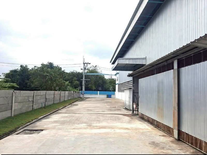 ให้เช่า โรงงาน/คลังสินค้า ผังเหลือง 1067 ตรม. มาบไผ่ บ้านบึง ชลบุรี, ชลบุรี, มาบไผ่, บ้านบึง, ชลบุรี, 1,067 ตร.ม., โกดัง-โรงงาน ให้เช่า, โดย ดุสิต แสงฟ้า, 500385249 - DDproperty.com