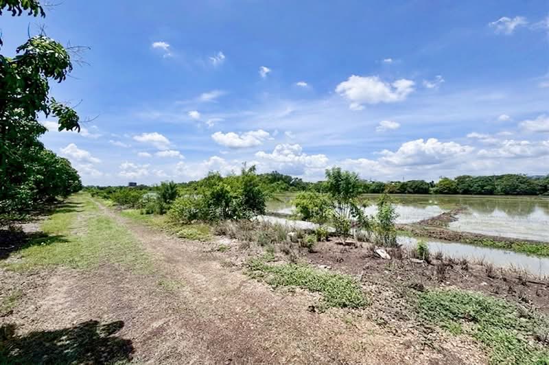 คลองห้าตะวันออก, Pathum Thani, Khlong Ha, Khlong Luang, Pathum Thani, , 1,600 sqm, Land For Sale, by คุณปิ่น, 500385279 - DDproperty.com