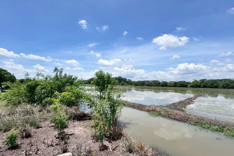 คลองห้าตะวันออก, Pathum Thani, Khlong Ha, Khlong Luang, Pathum Thani, , 1,600 sqm, Land For Sale, by คุณปิ่น, 500385279 - DDproperty.com