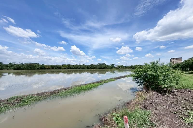 คลองห้าตะวันออก, Pathum Thani, Khlong Ha, Khlong Luang, Pathum Thani, , 1,600 sqm, Land For Sale, by คุณปิ่น, 500385279 - DDproperty.com