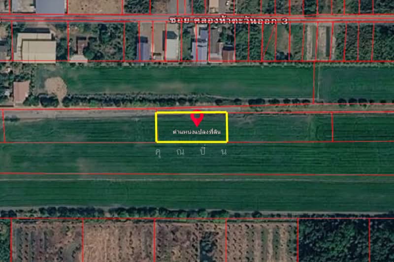 คลองห้าตะวันออก, Pathum Thani, Khlong Ha, Khlong Luang, Pathum Thani, , 1,600 sqm, Land For Sale, by คุณปิ่น, 500385279 - DDproperty.com