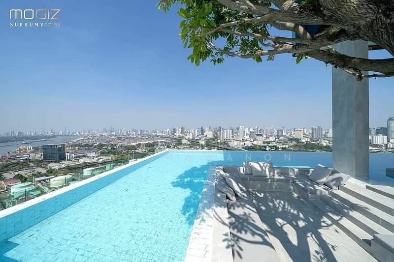 Modiz Sukhumvit 50, Bangkok, Soi Sukhumvit 50, Phra Kanong, Khlong Toei, Bangkok, 1 Bedroom, 42 sqm, Condo For Rent, by Pawanrat Panchawanon, 500385363 - DDproperty.com