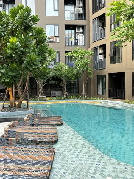The Base Central, Phuket, Chao Fah Tawan Tok Rd, Wichit, Muang Phuket, Phuket, 1 Bedroom, 32 sqm, Condo For Rent, by MeiMei Prime, 500385374 - DDproperty.com