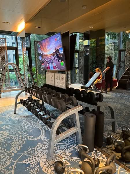 The Base Central, Phuket, Chao Fah Tawan Tok Rd, Wichit, Muang Phuket, Phuket, 1 Bedroom, 32 sqm, Condo For Rent, by MeiMei Prime, 500385374 - DDproperty.com