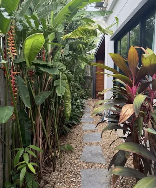 Zerene Petchkasem-Phutthamonthon Sai 3, Bangkok, 101 Phutthamonthon Sai 3 Road, Nong Kang Plu, Nong Khaem, Bangkok, 4 Bedrooms, 196 sqm, Single Detached House For Sale, by Connex Property, 500385495 - DDproperty.com