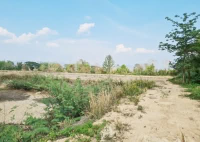 ขาย - ที่ดินจุน พะเยา, พะเยา