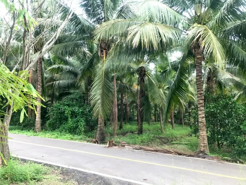 ที่ดินบางคนที สมุทรสงคราม, Samut Songkhram, Chom Pluak, Bang Khon Ti, Samut Songkhram, , 8,264 sqm, Land For Sale, by The Best Property อ้อ, 500385583 - DDproperty.com