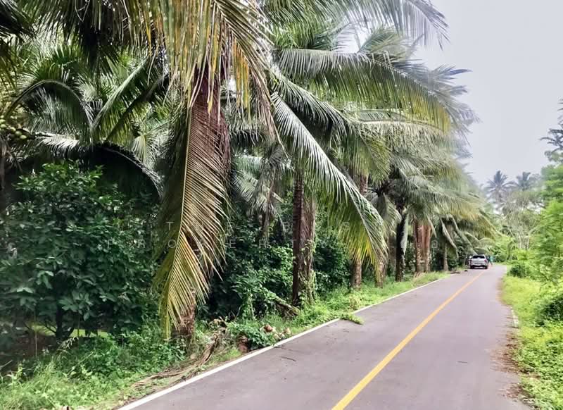 ที่ดินบางคนที สมุทรสงคราม, Samut Songkhram, Chom Pluak, Bang Khon Ti, Samut Songkhram, , 8,264 sqm, Land For Sale, by The Best Property อ้อ, 500385583 - DDproperty.com