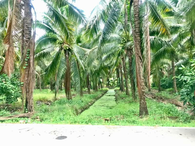 ที่ดินบางคนที สมุทรสงคราม, Samut Songkhram, Chom Pluak, Bang Khon Ti, Samut Songkhram, , 8,264 sqm, Land For Sale, by The Best Property  อ้อ, 500385583 - DDproperty.com
