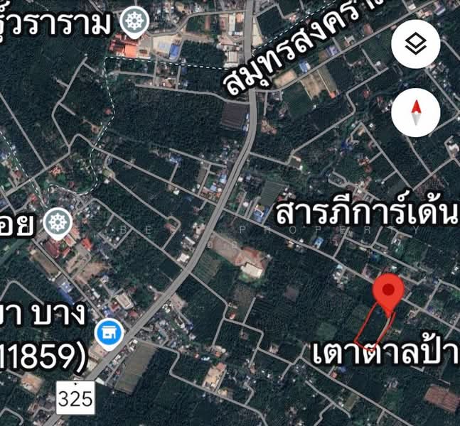 ที่ดินบางคนที สมุทรสงคราม, สมุทรสงคราม, จอมปลวก, บางคนที, สมุทรสงคราม, 8,264 ตร.ม., ที่ดิน ขาย, โดย The Best Property อ้อ, 500385583 - DDproperty.com