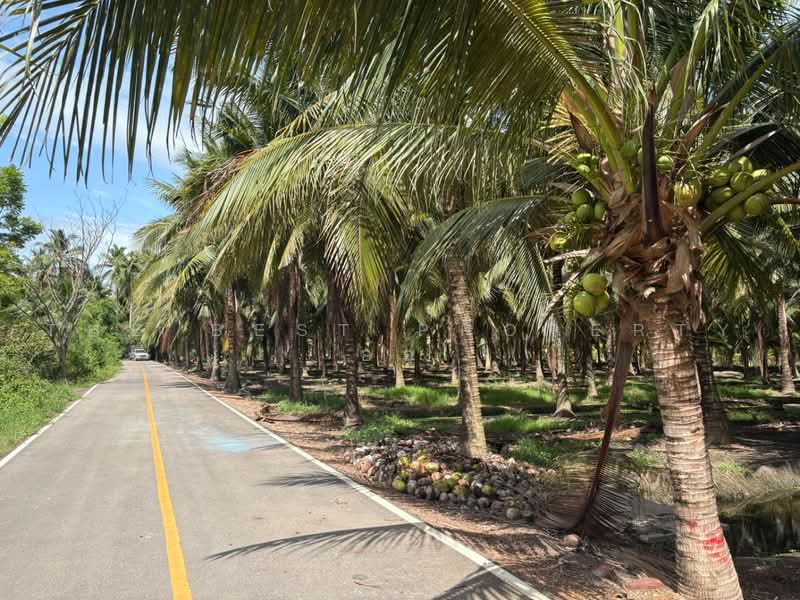 ที่ดินบางคนที สมุทรสงคราม, Samut Songkhram, Chom Pluak, Bang Khon Ti, Samut Songkhram, , 8,264 sqm, Land For Sale, by The Best Property  อ้อ, 500385583 - DDproperty.com