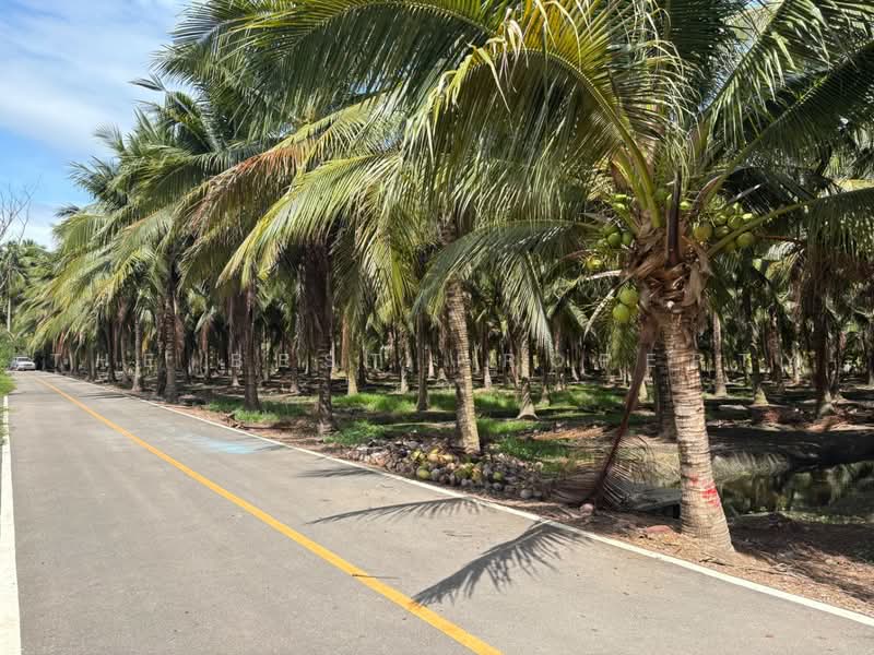 ที่ดินบางคนที สมุทรสงคราม, Samut Songkhram, Chom Pluak, Bang Khon Ti, Samut Songkhram, , 8,264 sqm, Land For Sale, by The Best Property  อ้อ, 500385583 - DDproperty.com