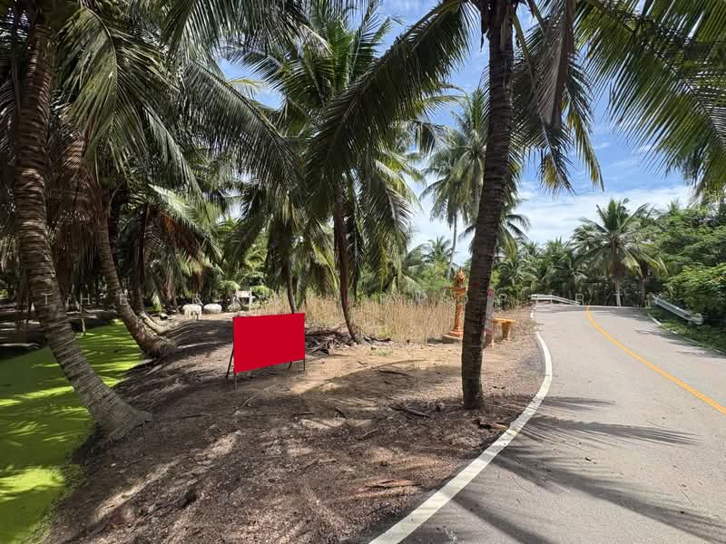ที่ดินบางคนที สมุทรสงคราม, Samut Songkhram, Chom Pluak, Bang Khon Ti, Samut Songkhram, , 8,264 sqm, Land For Sale, by The Best Property  อ้อ, 500385583 - DDproperty.com