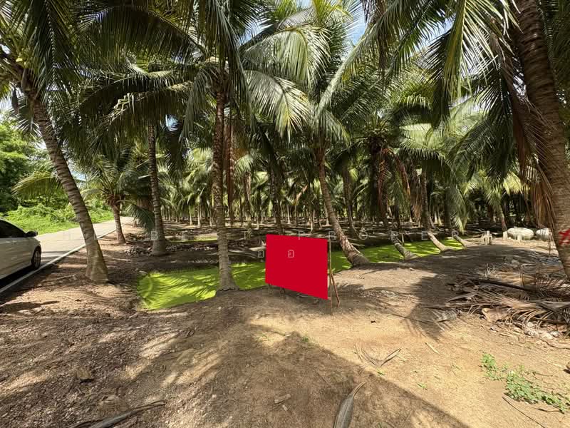 ที่ดินบางคนที สมุทรสงคราม, Samut Songkhram, Chom Pluak, Bang Khon Ti, Samut Songkhram, , 8,264 sqm, Land For Sale, by The Best Property  อ้อ, 500385583 - DDproperty.com