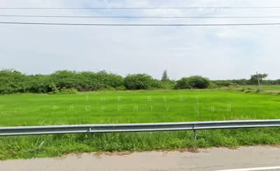 ขาย - ที่ดินท่ายาง เพชรบุรี, เพชรบุรี