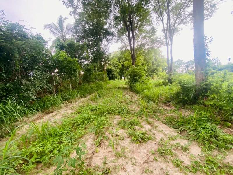 Prime land for sale in Ban Mab Krud, Ban Bueng, Chonburi., Chon Buri (Pattaya), Ban Bung, Ban Bung, Chon Buri (Pattaya), , 8,000 sqm, Land For Sale, by A House Property Co.,Ltd., 500385593 - DDproperty.com