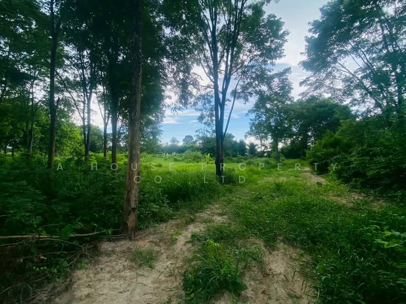 Prime land for sale in Ban Mab Krud, Ban Bueng, Chonburi., Chon Buri (Pattaya), Ban Bung, Ban Bung, Chon Buri (Pattaya), , 8,000 sqm, Land For Sale, by A House Property Co.,Ltd., 500385593 - DDproperty.com