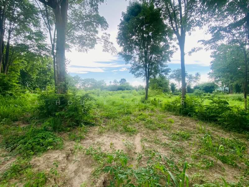 Prime land for sale in Ban Mab Krud, Ban Bueng, Chonburi., Chon Buri (Pattaya), Ban Bung, Ban Bung, Chon Buri (Pattaya), , 8,000 sqm, Land For Sale, by A House Property Co.,Ltd., 500385593 - DDproperty.com