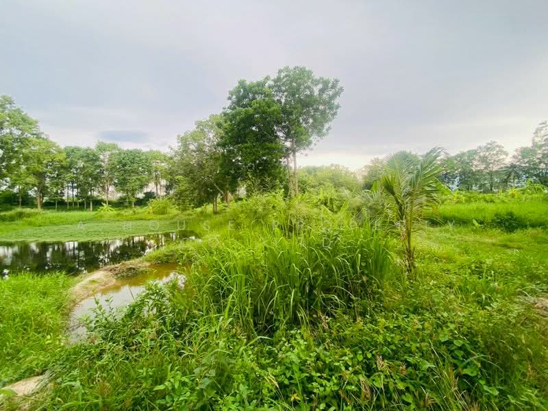Prime land for sale in Ban Mab Krud, Ban Bueng, Chonburi., Chon Buri (Pattaya), Ban Bung, Ban Bung, Chon Buri (Pattaya), , 8,000 sqm, Land For Sale, by A House Property Co.,Ltd., 500385593 - DDproperty.com