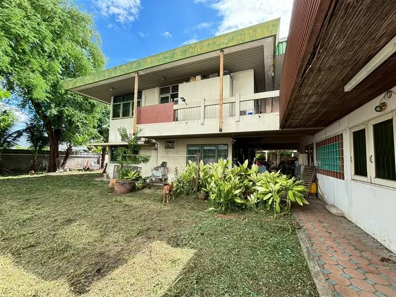 ที่ดินเเถมบ้านเดี่ยว 249 ตร.ว. หมู่บ้านศานตินิเวศน์ ตรงข้ามแม็คโคร บางกะปิ ซอยลาดพร้าว115, กรุงเทพ, ถนนลาดพร้าว, คลองจั่น, บางกะปิ, กรุงเทพ, 996 ตร.ม., ที่ดิน ขาย, โดย คุณ พรทิพย์ จันทร์หา (ปุ๋ย), 500385640 - DDproperty.com