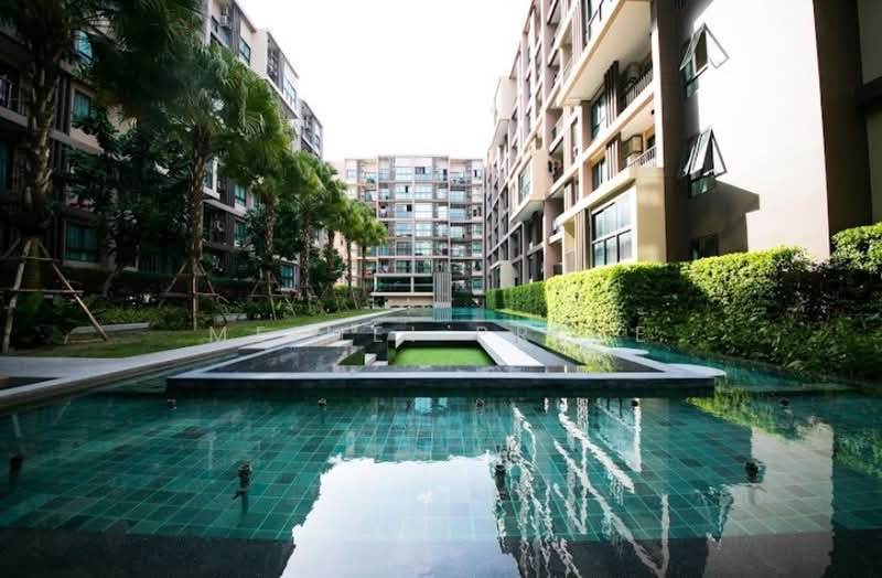 Zcape 3, Phuket, Thep Krasattri Road, Wichit, Muang Phuket, Phuket, 1 Bedroom, 27 sqm, Condo For Rent, by MeiMei Prime, 500385671 - DDproperty.com