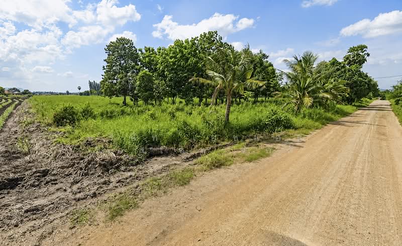 ที่ดินเขาใหญ่ แปลงสวย 18 ไร่ ปากช่อง นครราชสีมา, Nakhon Ratchasima, Wang Zai, Pak Chong, Nakhon Ratchasima, , 28,800 sqm, Land For Sale, by บริษัท เอชแอล แอสเซท จำกัด, 500385672 - DDproperty.com