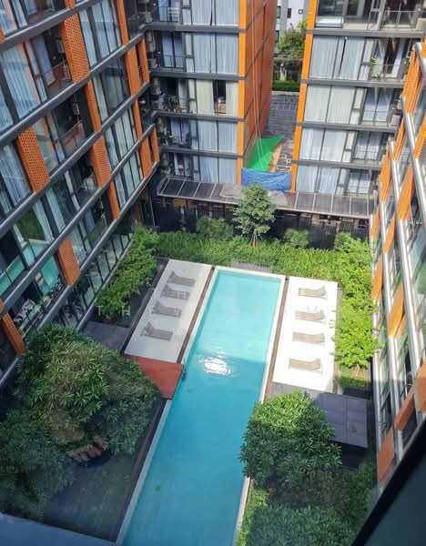 Quintara Treehaus Sukhumvit 42 : ควินทารา ทรีเฮาส์ สุขุมวิท 42, กรุงเทพ, ซอยบาร์โบส 2 ถนนสุขุมวิท 42, พระโขนง, คลองเตย, กรุงเทพ, 29 ตร.ม., คอนโด ให้เช่า, โดย Thida Thewinram, 500385862 - DDproperty.com