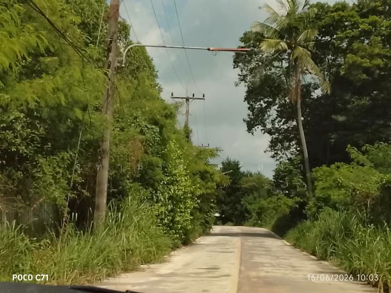 ขายที่ดินเปล่า 130 ตร.ว. ต.ท่าบุญมี อ.เกาะจันทร์ จ.ชลบุรี, Chon Buri (Pattaya), Tha Bunmi, Ko Chan, Chon Buri (Pattaya), , 520 sqm, Land For Sale, by จุฑามาส ศรีสง่า, 500385868 - DDproperty.com