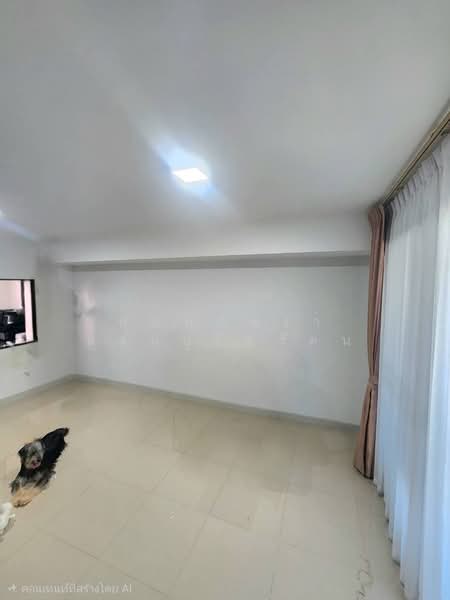 Pleno Tiwanon, Pathum Thani, Tiwanon Road, Bang Kadi, Muang Pathum Thani, Pathum Thani, 3 Bedrooms, 120 sqm, Single Detached House For Rent, by พิมพ์ภัทรา แจ่มอุลิตรัตน, 500385873 - DDproperty.com