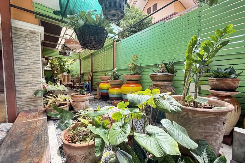 เอ.ซี. เฮ้าส์ 3, ปทุมธานี, ลาดสวาย, ลำลูกกา, ปทุมธานี, 220 ตร.ม., บ้านเดี่ยว ขาย, โดย สง่าชัย ไทรทองคำ, 500386255 - DDproperty.com