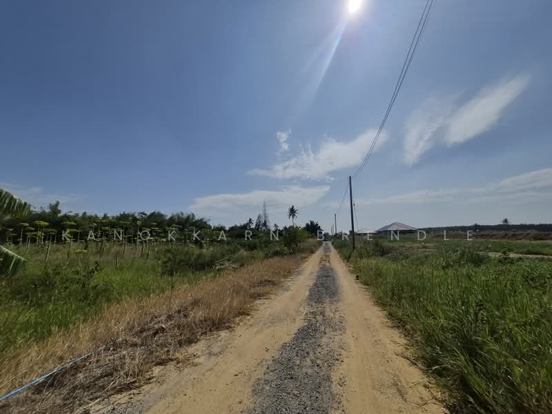 10-Rai Hillside Land in Wang Pong – Ideal for Housing Project, Prachuap Khiri Khan, Wang-Pong, Pran Buri, Prachuap Khiri Khan, , 1,664 sqm, Land For Sale, by Kanokkarn Brendle, 500386419 - DDproperty.com