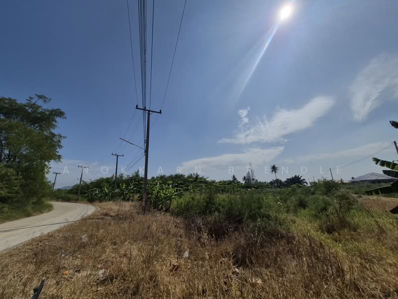 10-Rai Hillside Land in Wang Pong – Ideal for Housing Project, Prachuap Khiri Khan, Wang-Pong, Pran Buri, Prachuap Khiri Khan, , 1,664 sqm, Land For Sale, by Kanokkarn Brendle, 500386419 - DDproperty.com
