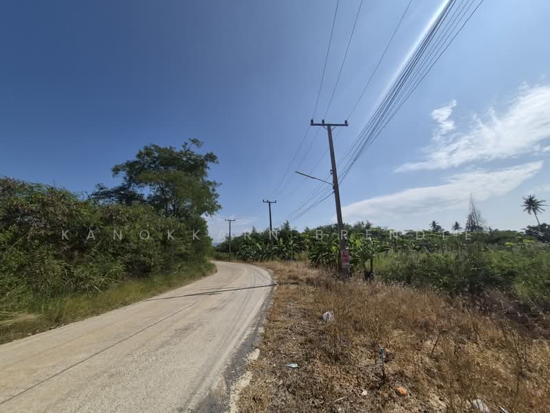 10-Rai Hillside Land in Wang Pong – Ideal for Housing Project, Prachuap Khiri Khan, Wang-Pong, Pran Buri, Prachuap Khiri Khan, , 1,664 sqm, Land For Sale, by Kanokkarn Brendle, 500386419 - DDproperty.com