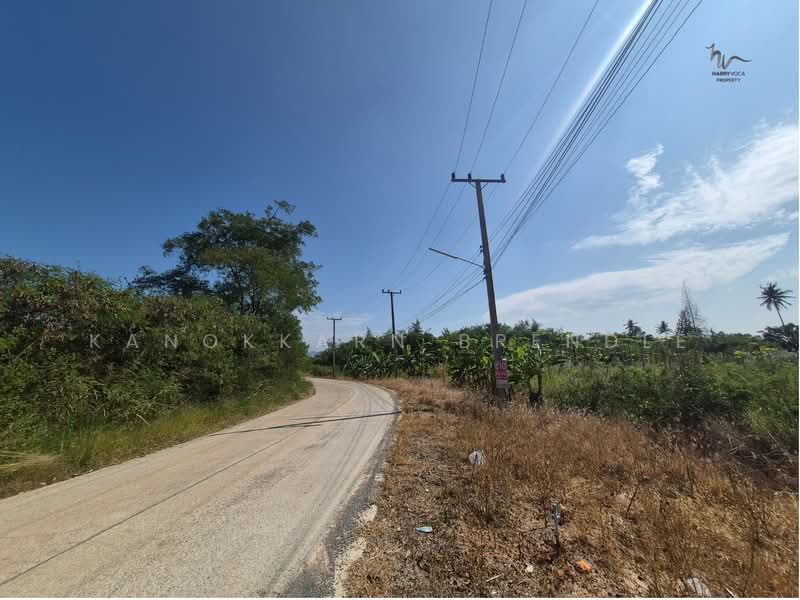 10-Rai Hillside Land in Wang Pong – Ideal for Housing Project, Prachuap Khiri Khan, Wang-Pong, Pran Buri, Prachuap Khiri Khan, , 1,664 sqm, Land For Sale, by Kanokkarn Brendle, 500386419 - DDproperty.com
